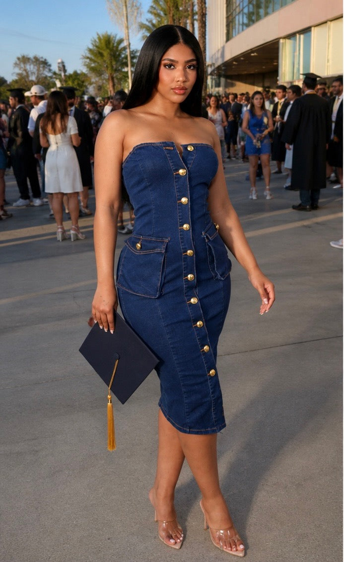 Denim Darling Midi Dress
